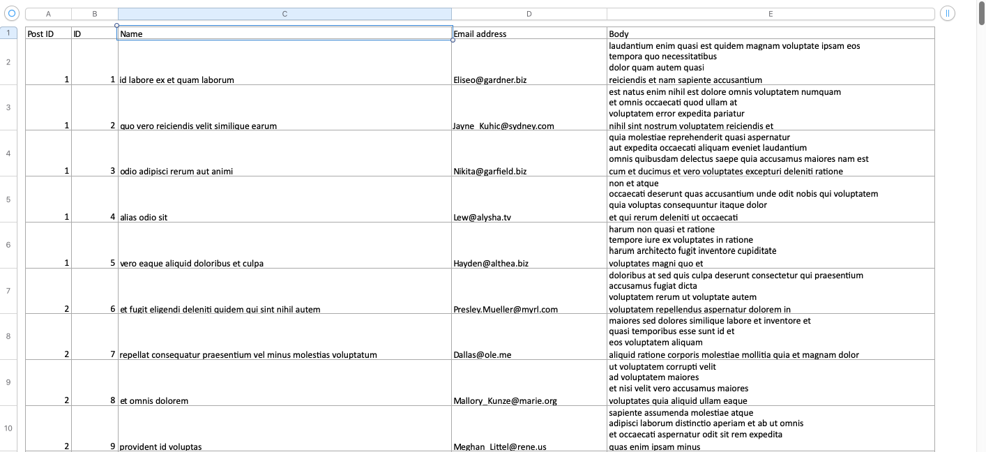 Generated Excel file